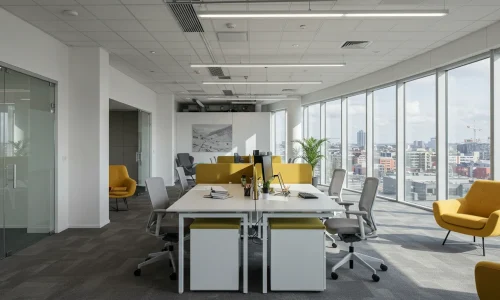 Commercial Office Renovation